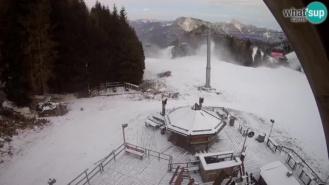 Stazione sciistica Zoncolan – Rifugio Goles