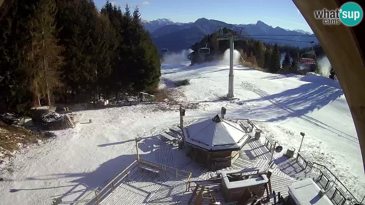 Stazione sciistica Zoncolan – Rifugio Goles