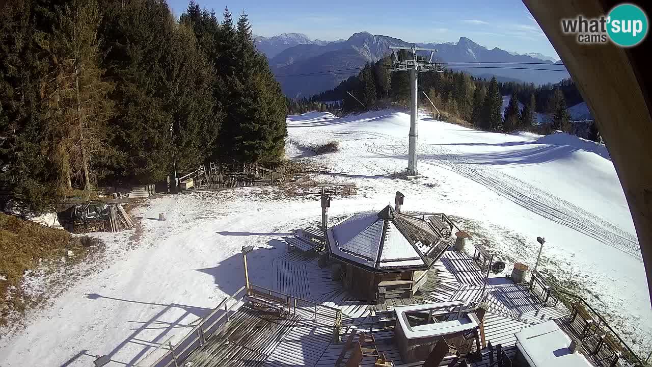 Smučišče Zoncolan – Goles