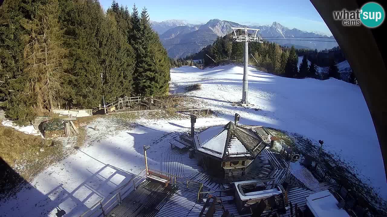 Skigebiet Zoncolan – Goles