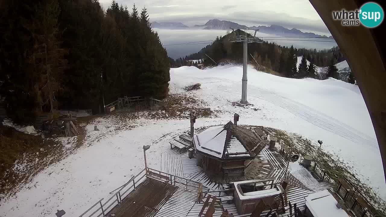 Stazione sciistica Zoncolan – Rifugio Goles