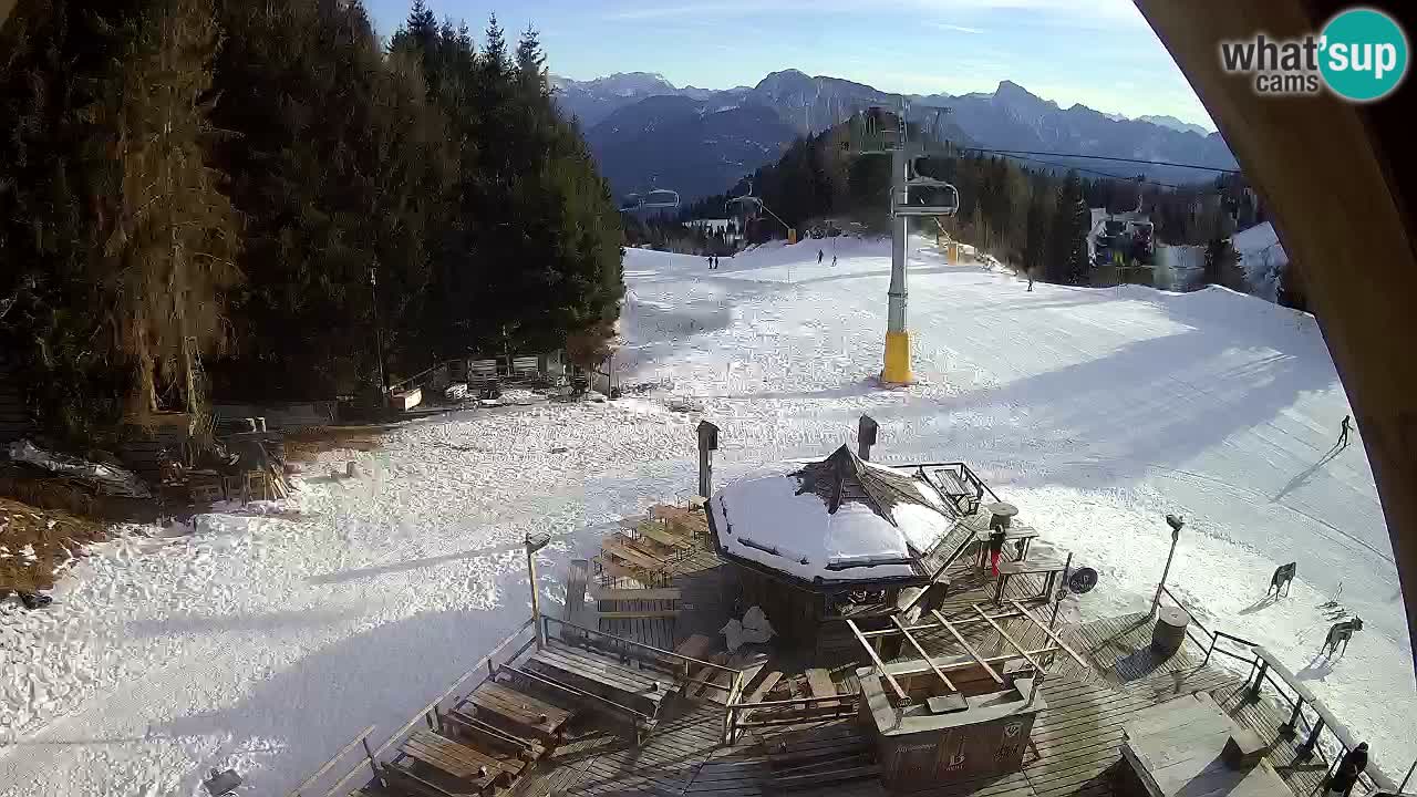 Ski resort Zoncolan mountain – Goles