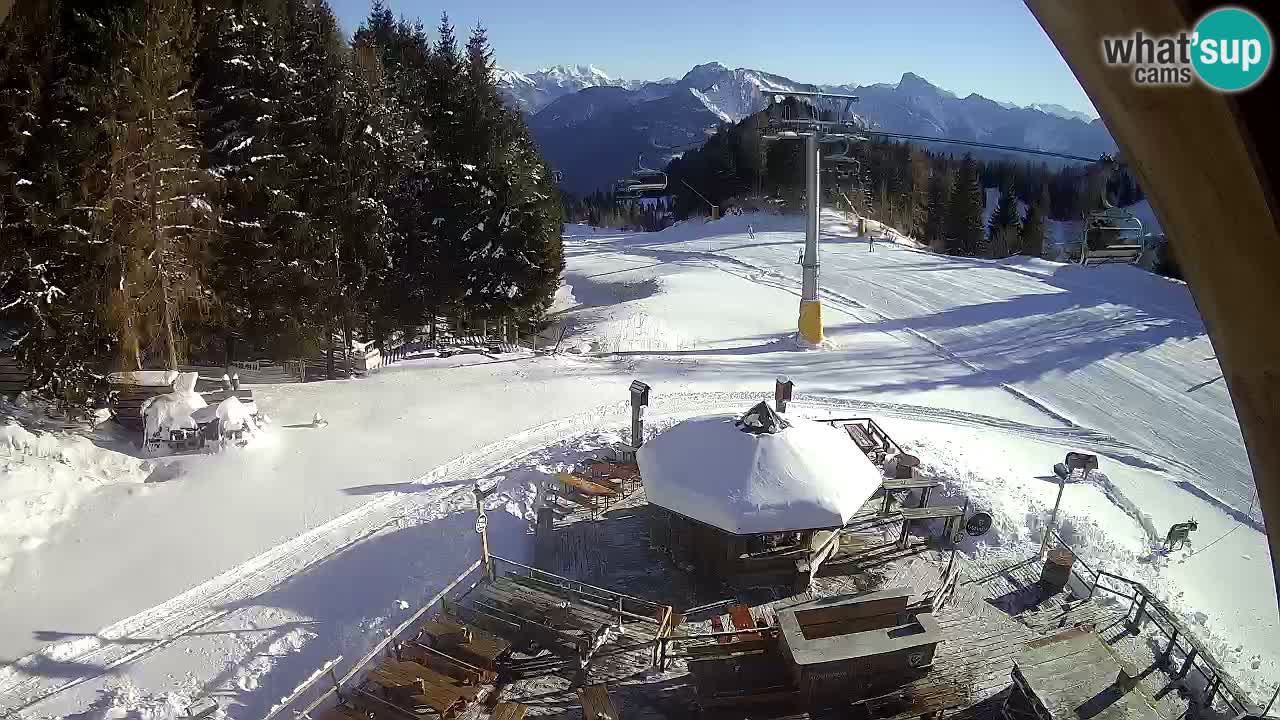 Skigebiet Zoncolan – Goles