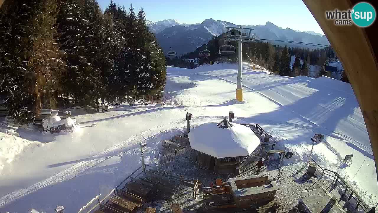 Ski resort Zoncolan mountain – Goles