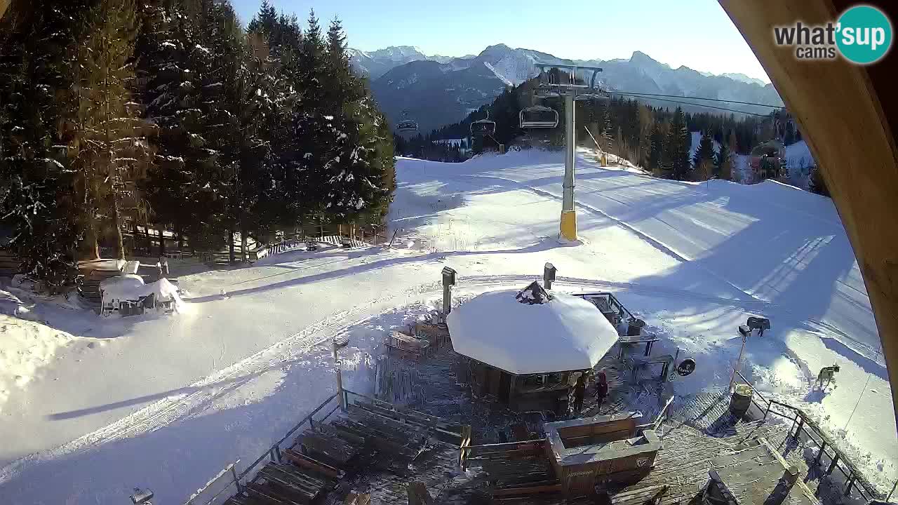 Ski resort Zoncolan mountain – Goles