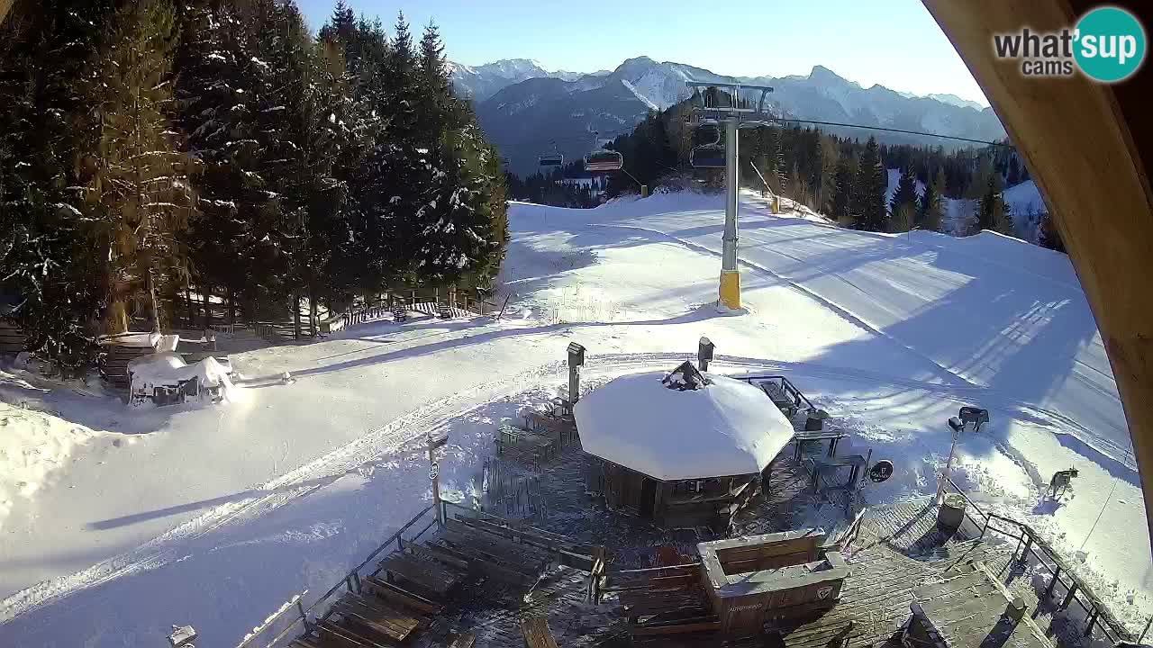 Skigebiet Zoncolan – Goles