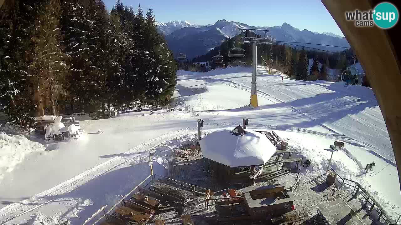 Ski resort Zoncolan mountain – Goles