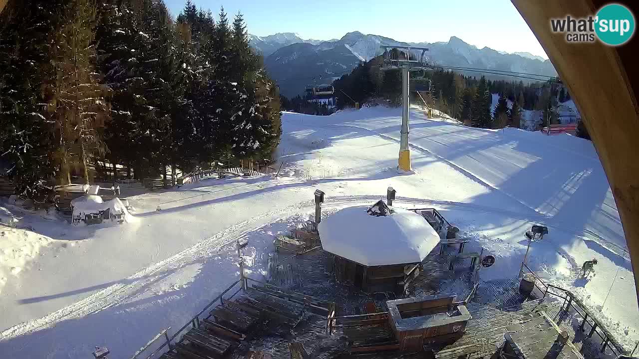 Ski resort Zoncolan mountain – Goles