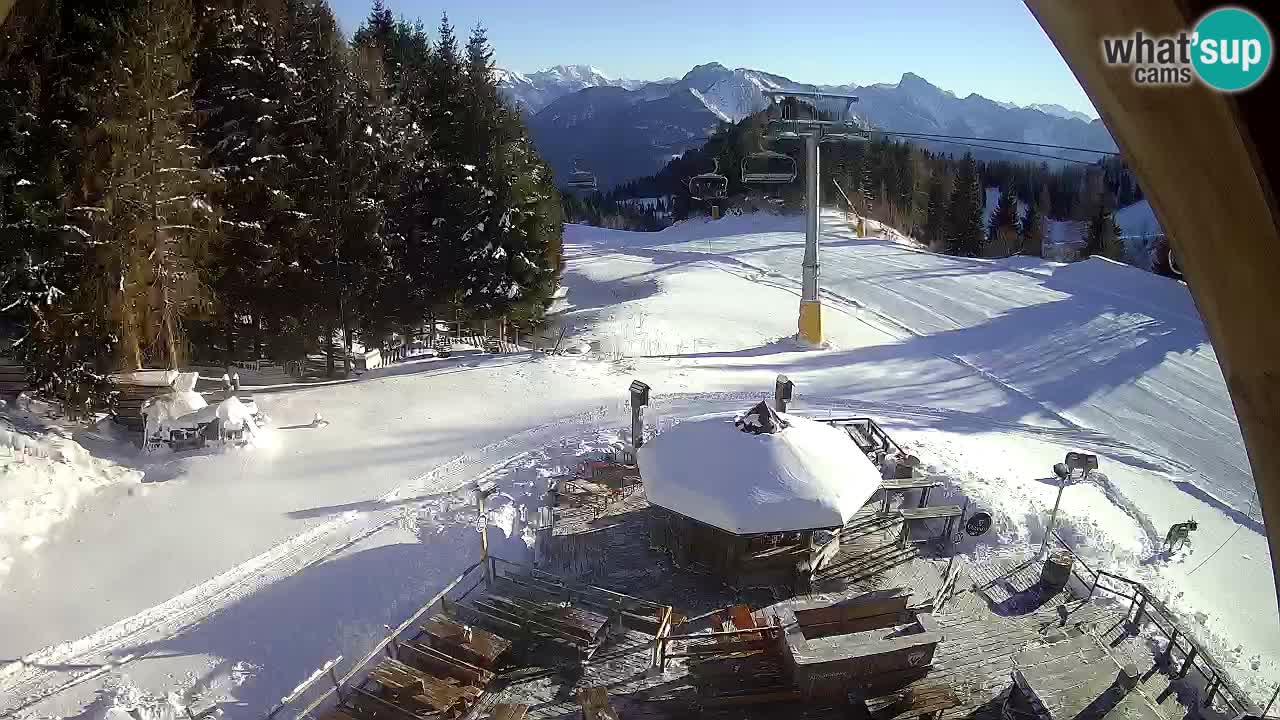 Ski resort Zoncolan mountain – Goles