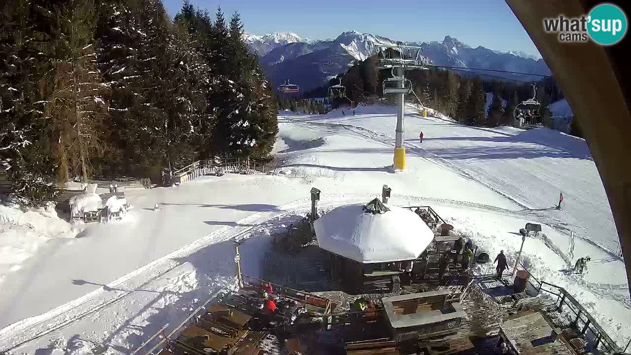 Ski resort Zoncolan mountain – Goles