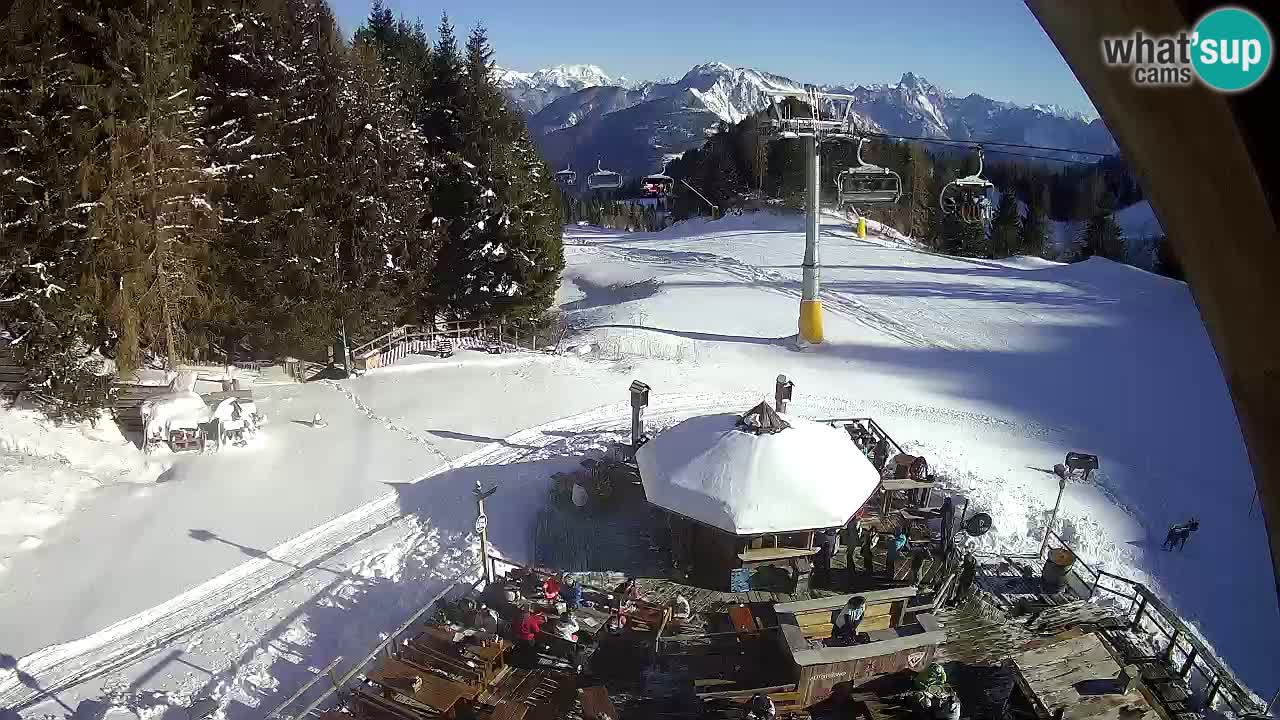 Ski resort Zoncolan mountain – Goles