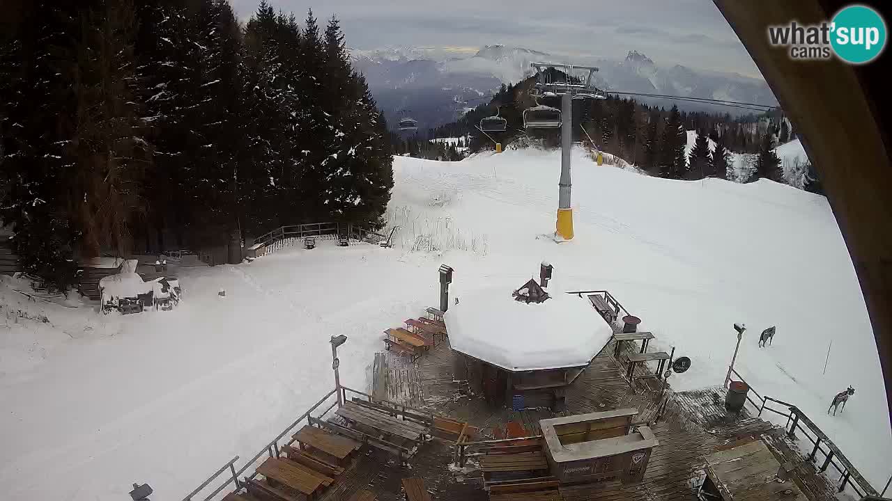 Ski resort Zoncolan mountain – Goles