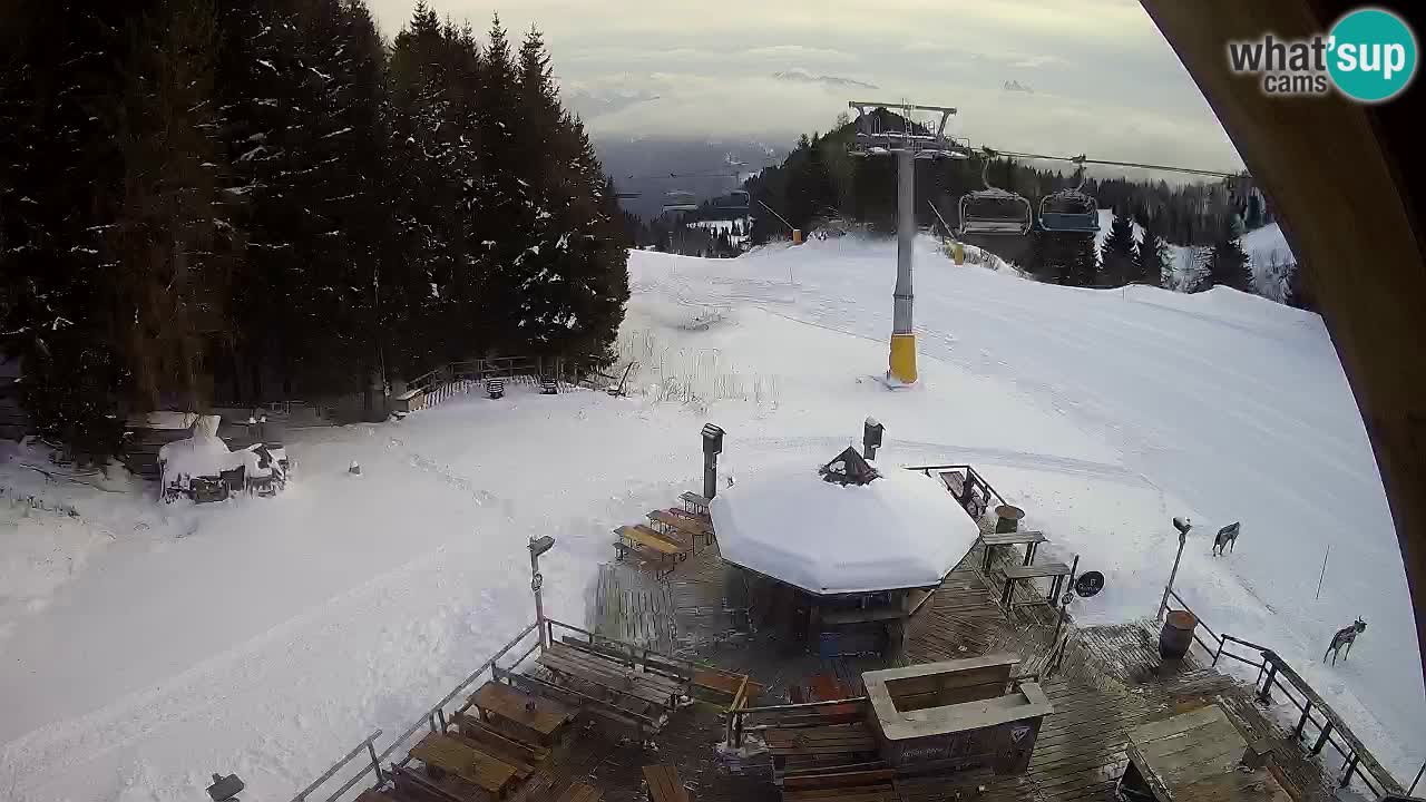 Ski resort Zoncolan mountain – Goles