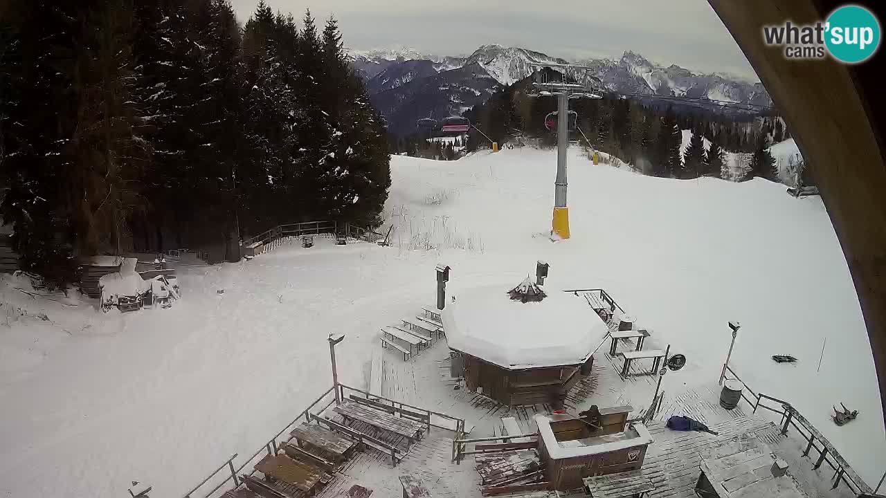 Station ski Zoncolan – Goles