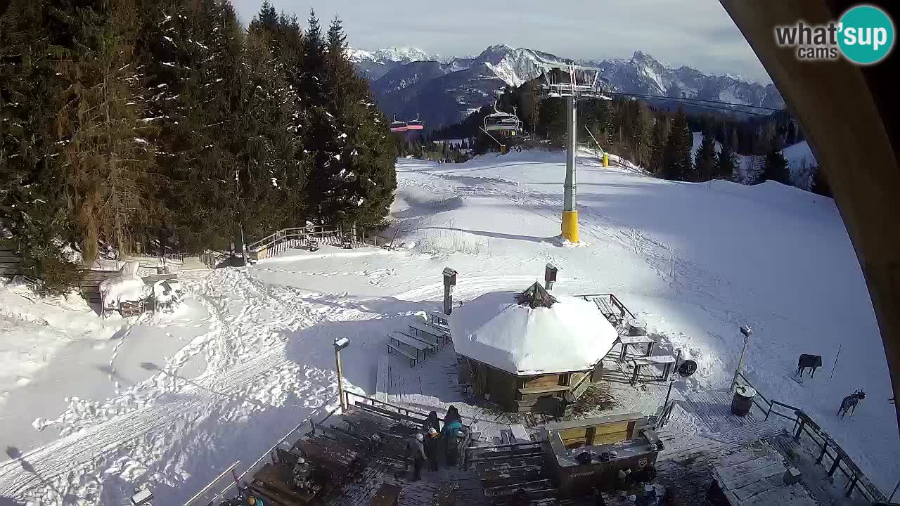 Station ski Zoncolan – Goles