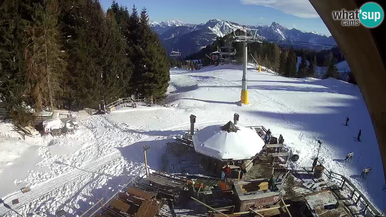 Ski resort Zoncolan mountain – Goles