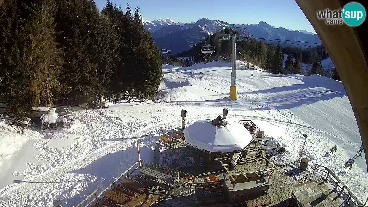 Ski resort Zoncolan mountain – Goles