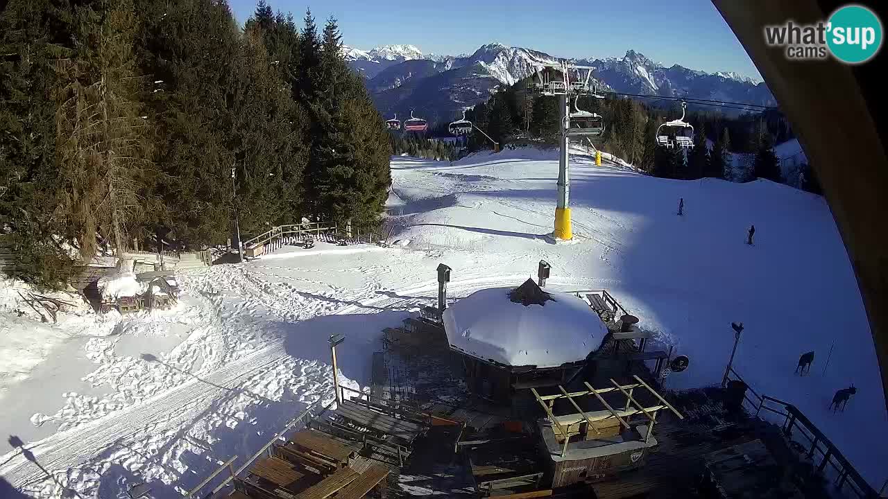 Station ski Zoncolan – Goles