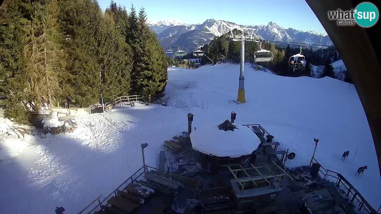 Ski resort Zoncolan mountain – Goles