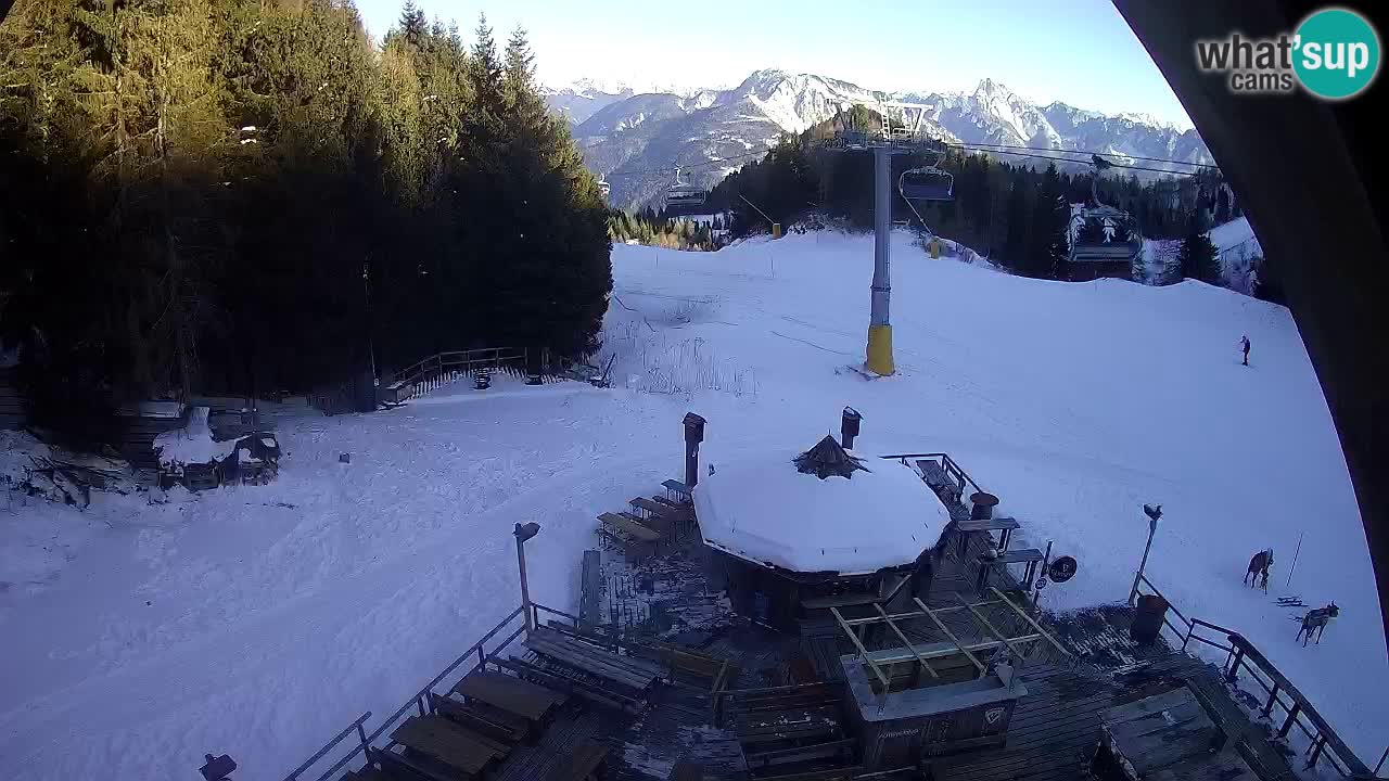 Ski resort Zoncolan mountain – Goles