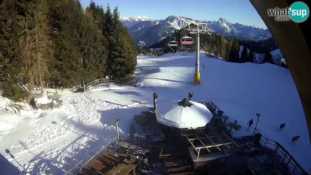 Ski resort Zoncolan mountain – Goles