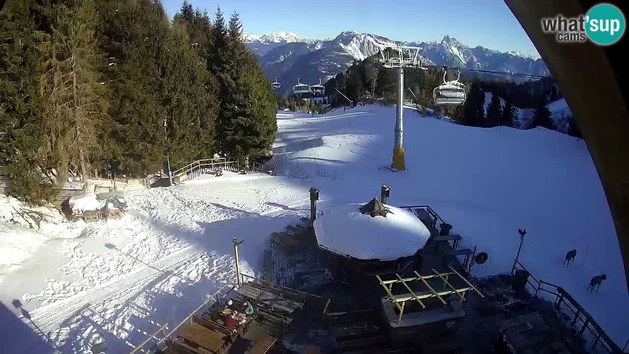 Ski resort Zoncolan mountain – Goles