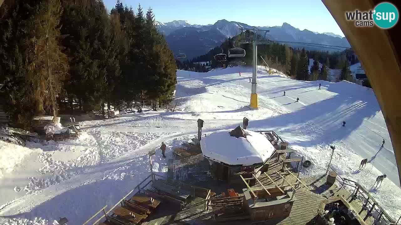 Ski resort Zoncolan mountain – Goles