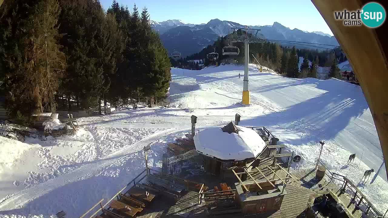 Ski resort Zoncolan mountain – Goles