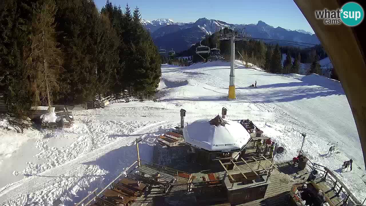 Skigebiet Zoncolan – Goles