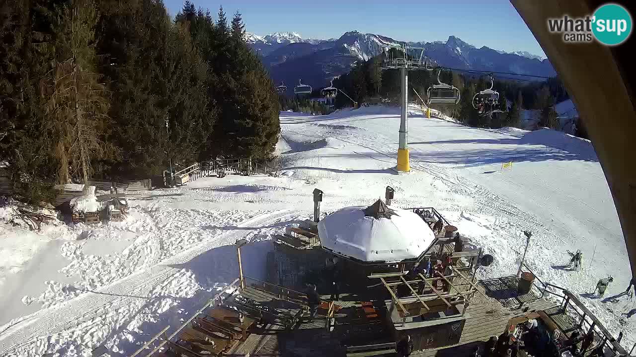 Station ski Zoncolan – Goles