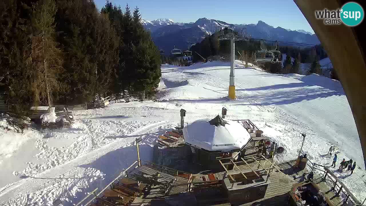 Ski resort Zoncolan mountain – Goles