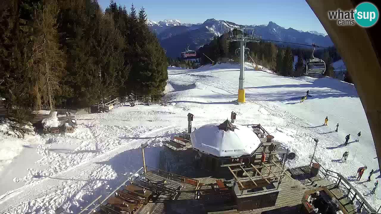 Ski resort Zoncolan mountain – Goles