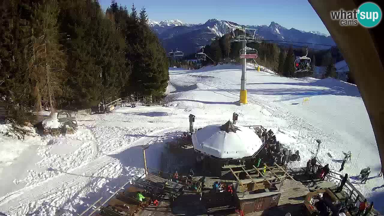 Ski resort Zoncolan mountain – Goles