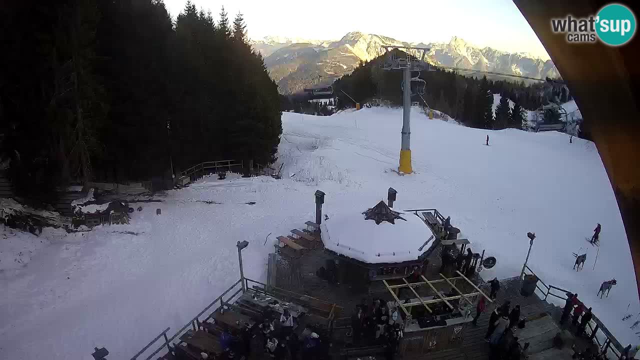 Ski resort Zoncolan mountain – Goles