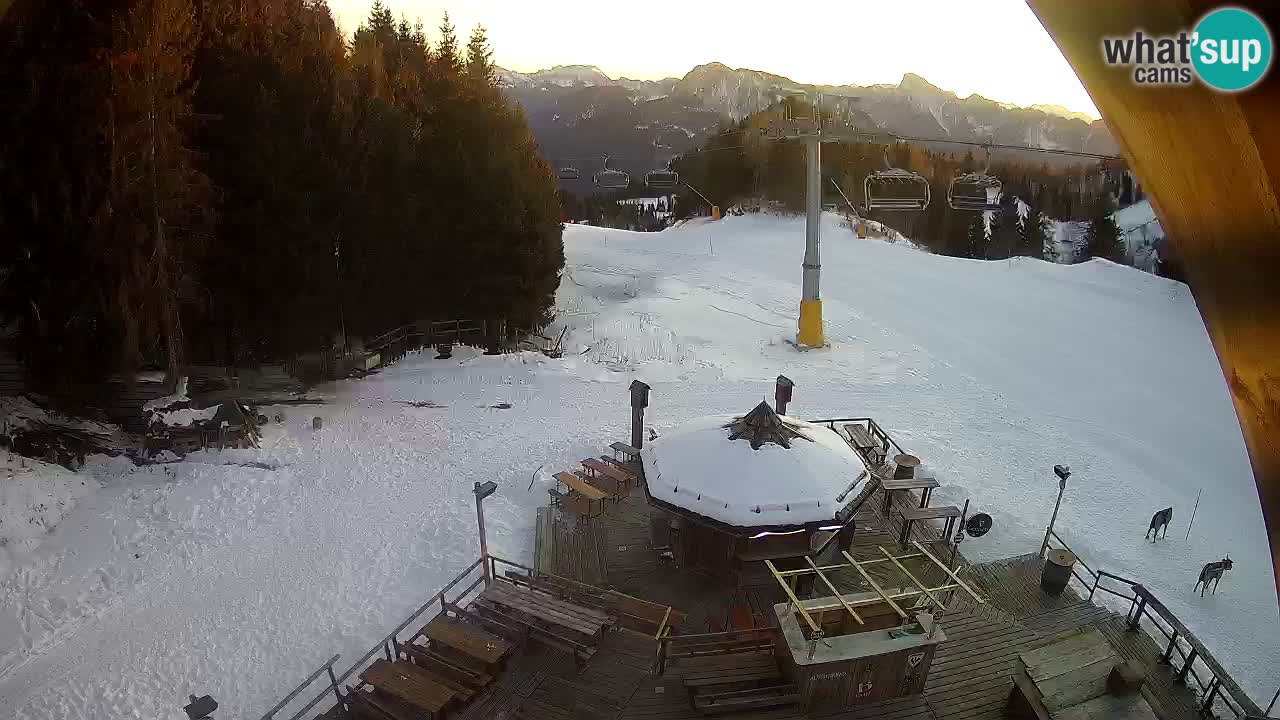 Ski resort Zoncolan mountain – Goles