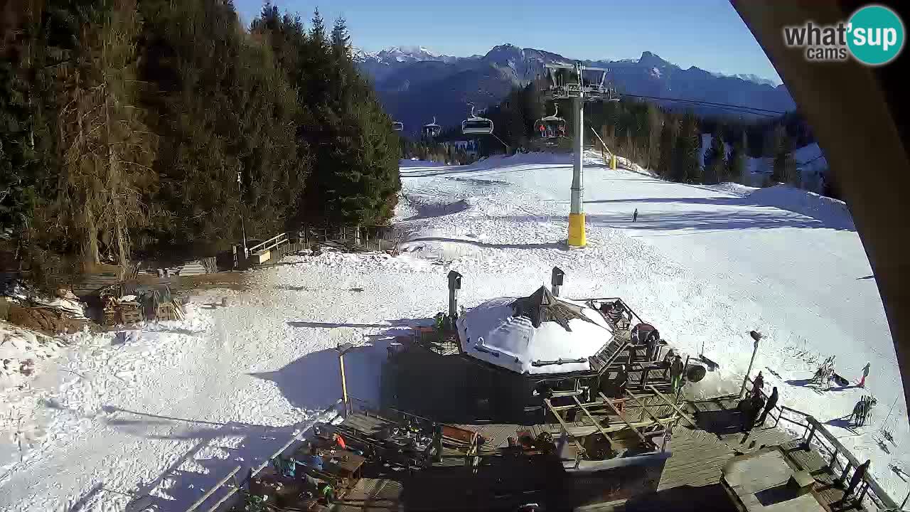 Ski resort Zoncolan mountain – Goles