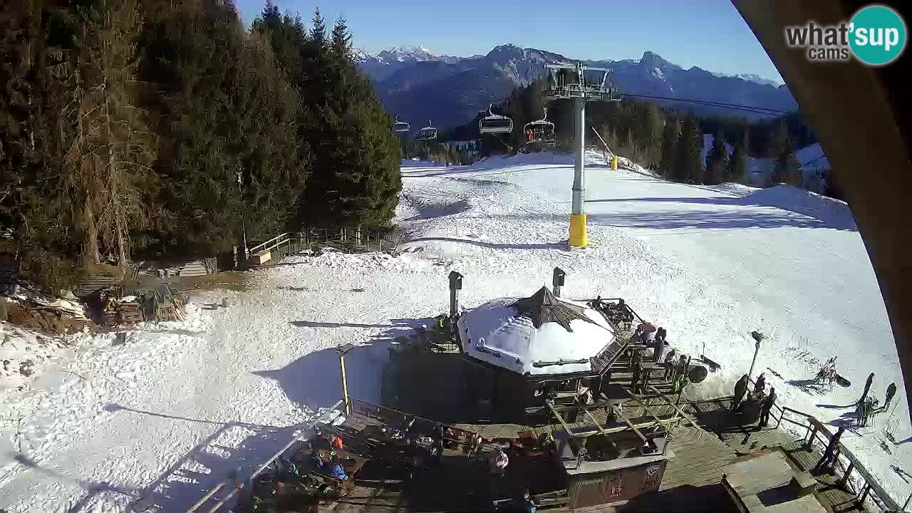 Ski resort Zoncolan mountain – Goles