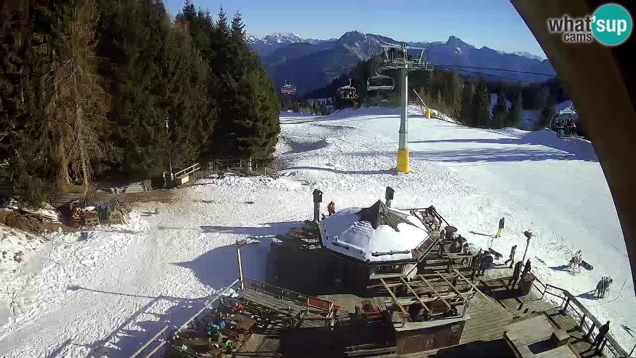 Ski resort Zoncolan mountain – Goles