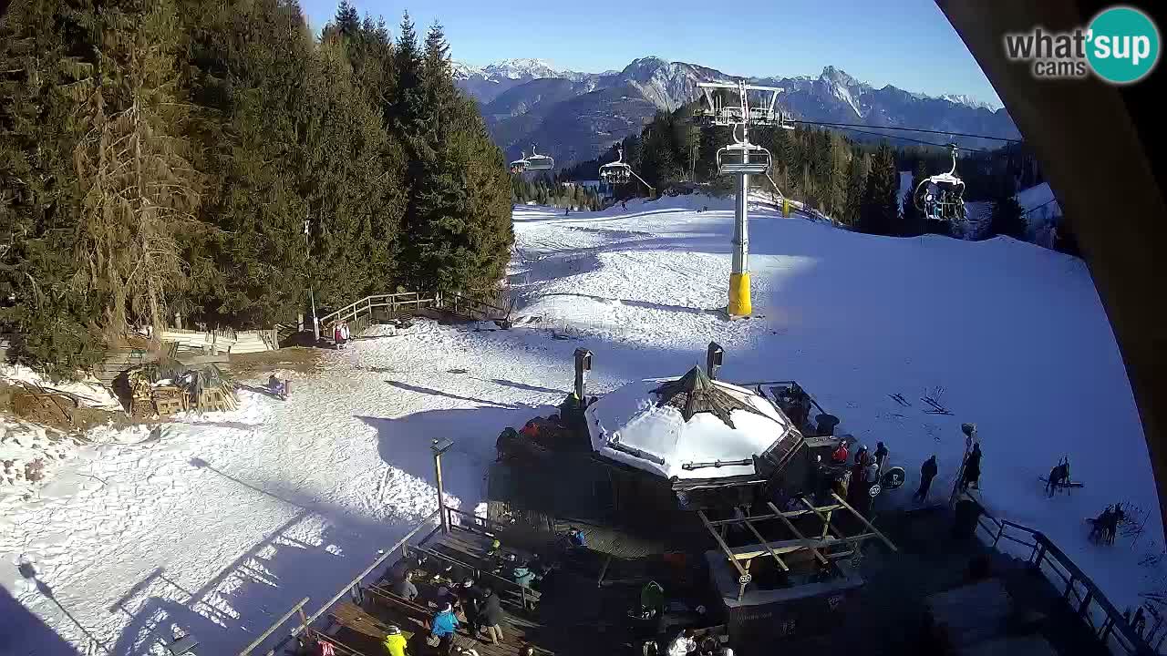 Ski resort Zoncolan mountain – Goles