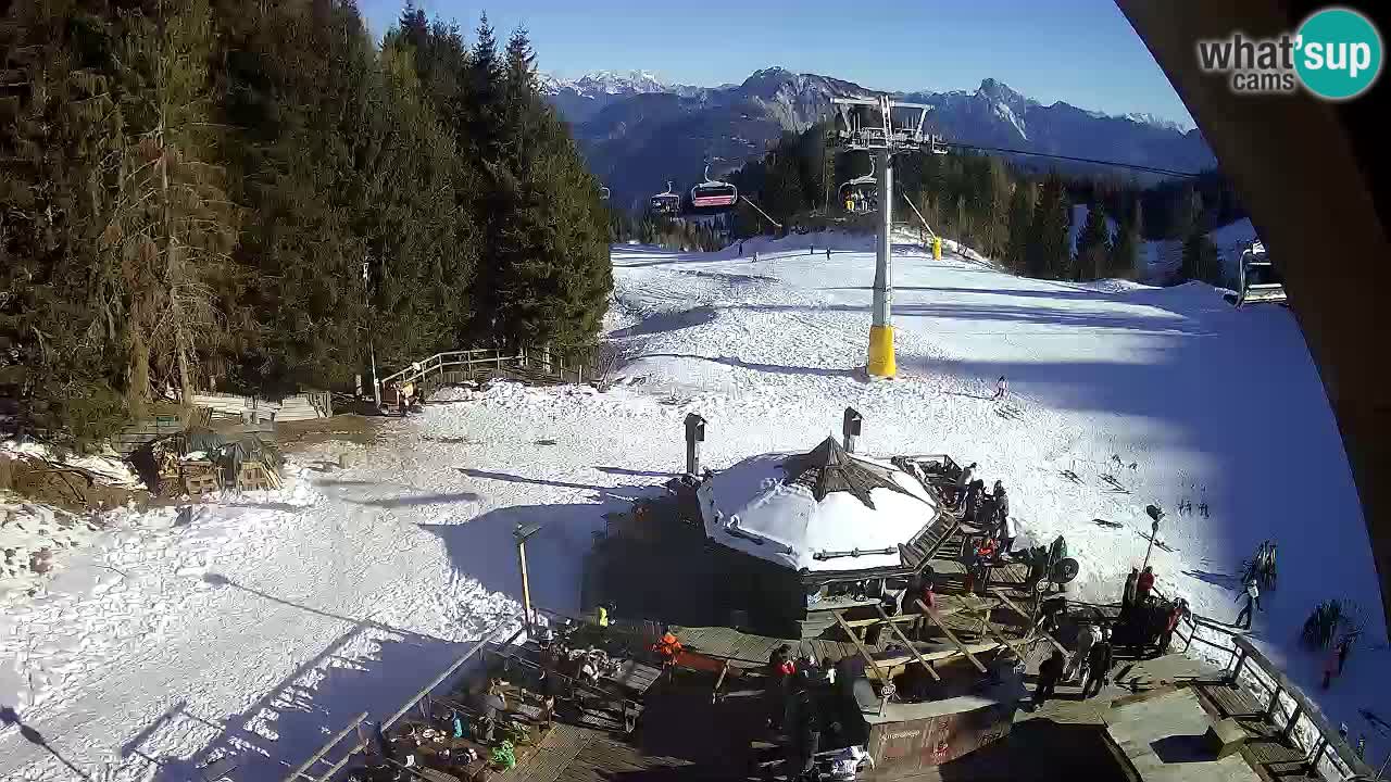 Ski resort Zoncolan mountain – Goles