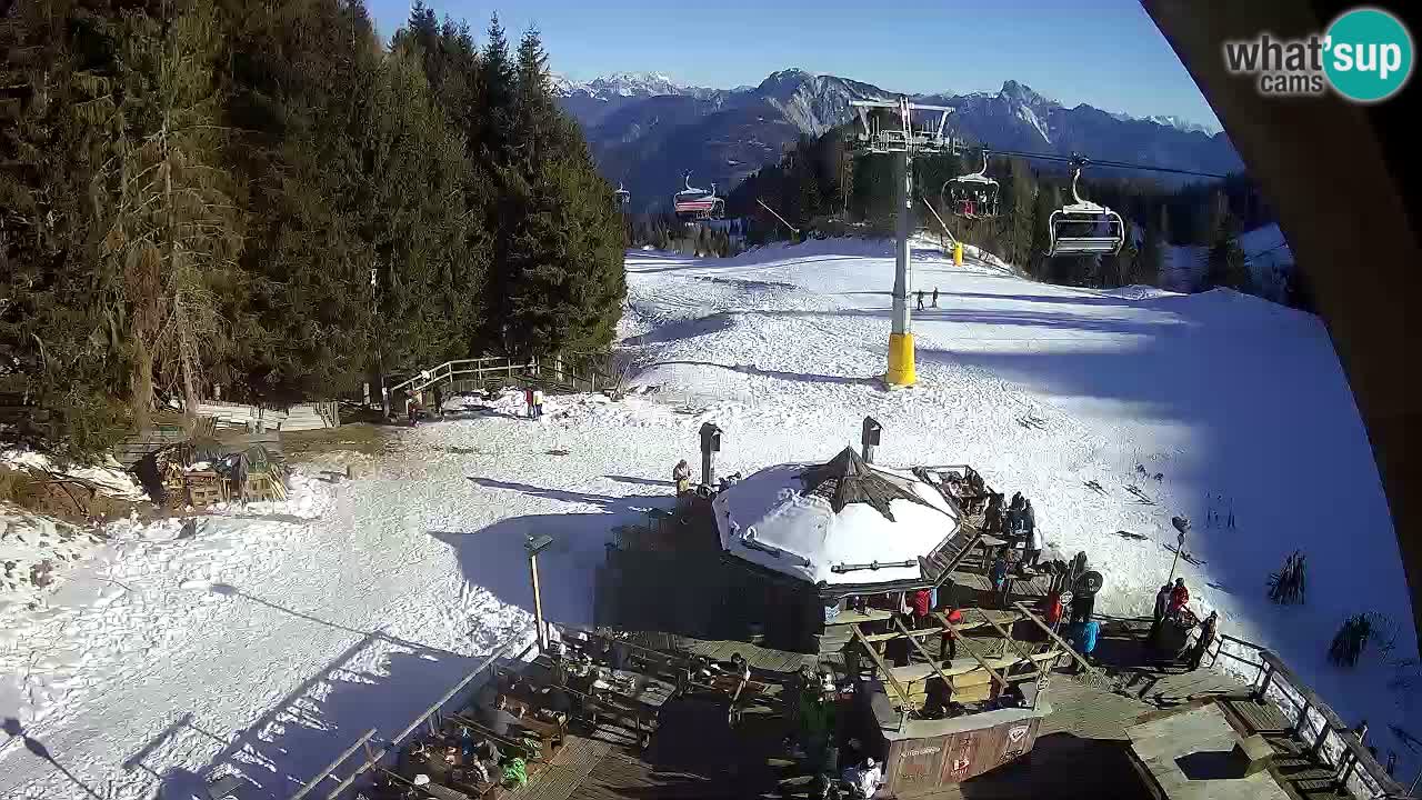 Ski resort Zoncolan mountain – Goles