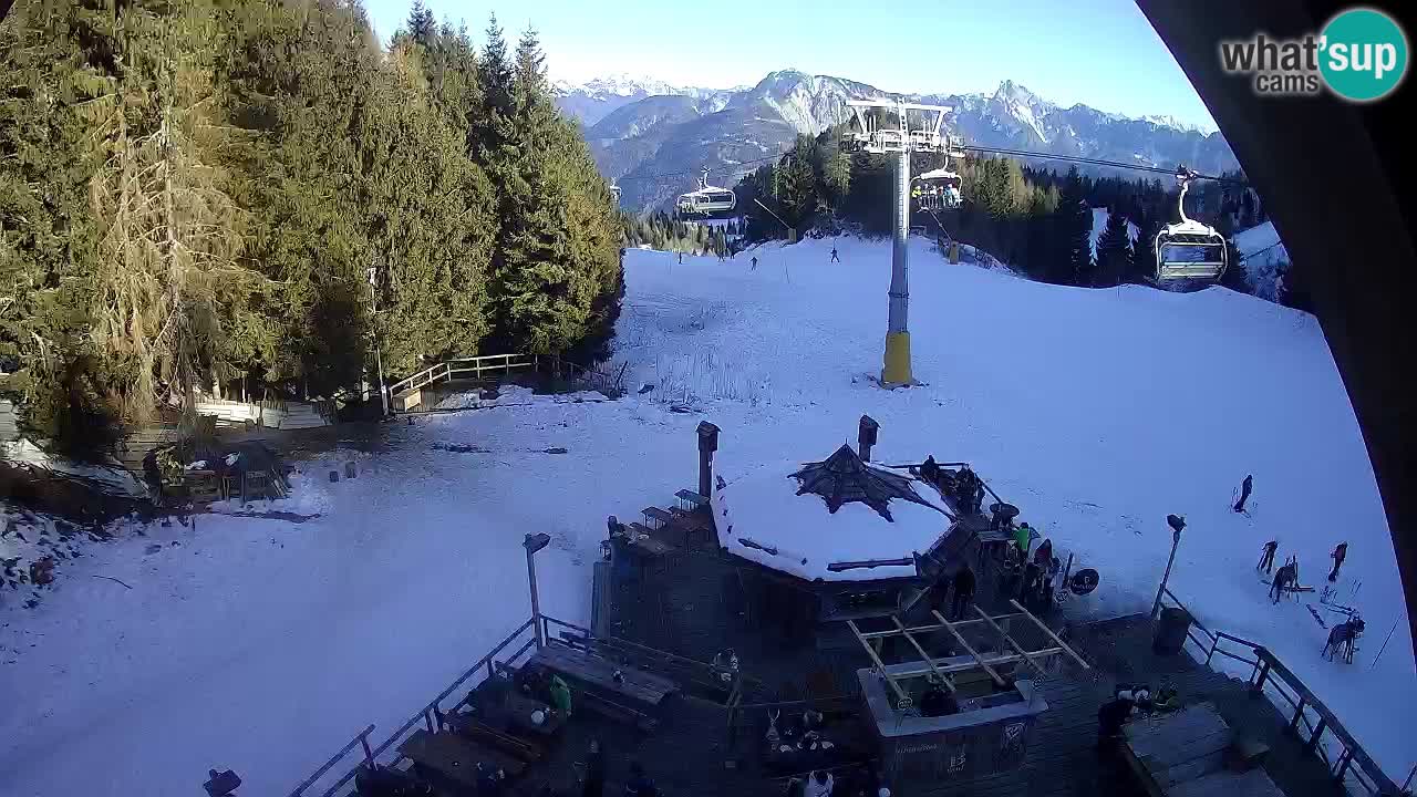 Ski resort Zoncolan mountain – Goles