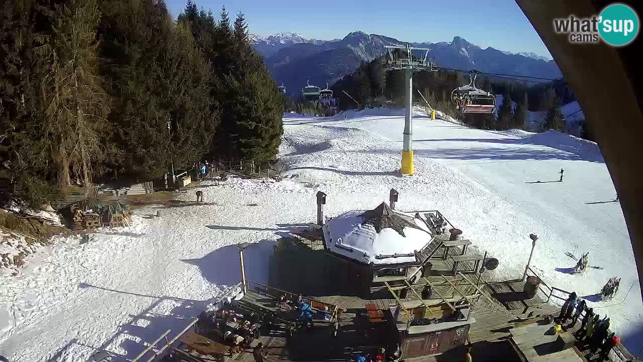 Ski resort Zoncolan mountain – Goles