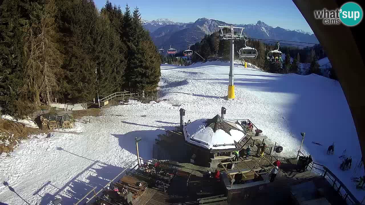 Ski resort Zoncolan mountain – Goles