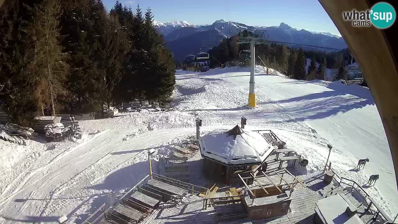 Station ski Zoncolan – Goles