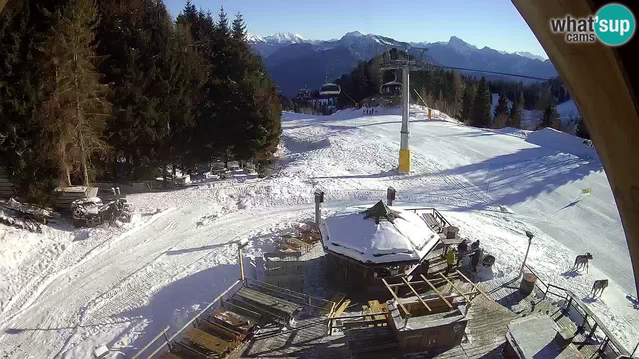 Ski resort Zoncolan mountain – Goles