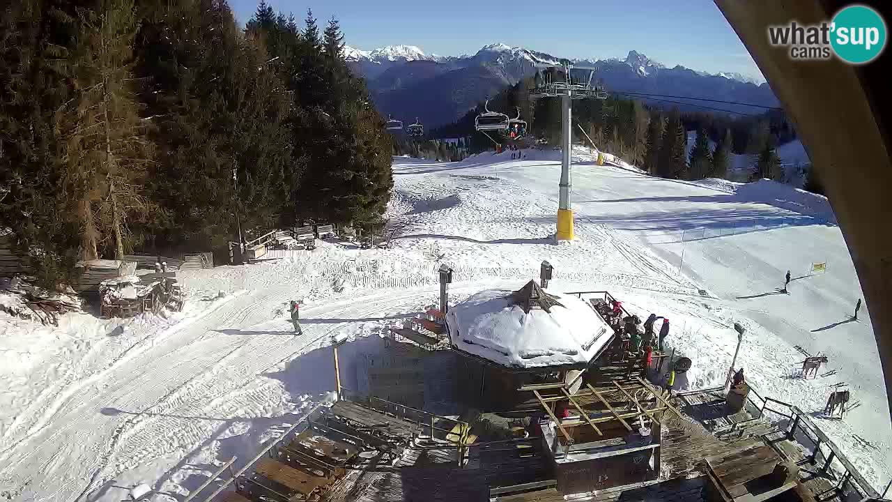 Ski resort Zoncolan mountain – Goles