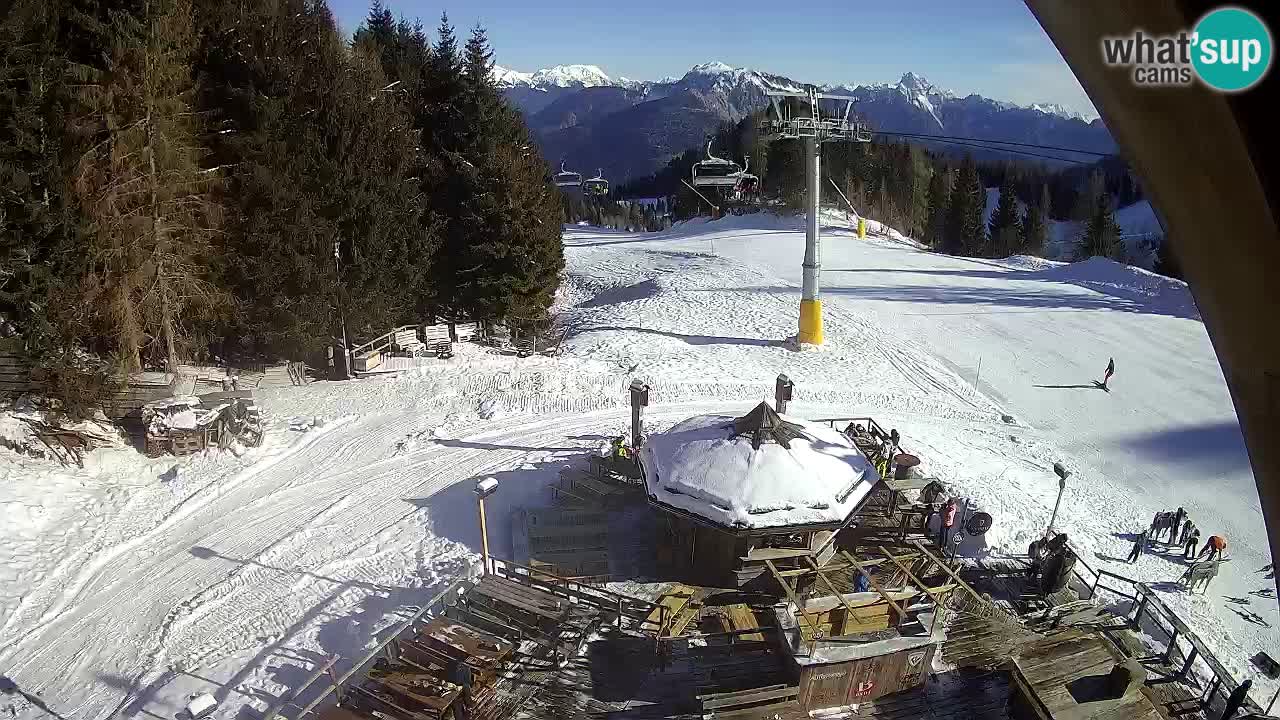 Ski resort Zoncolan mountain – Goles