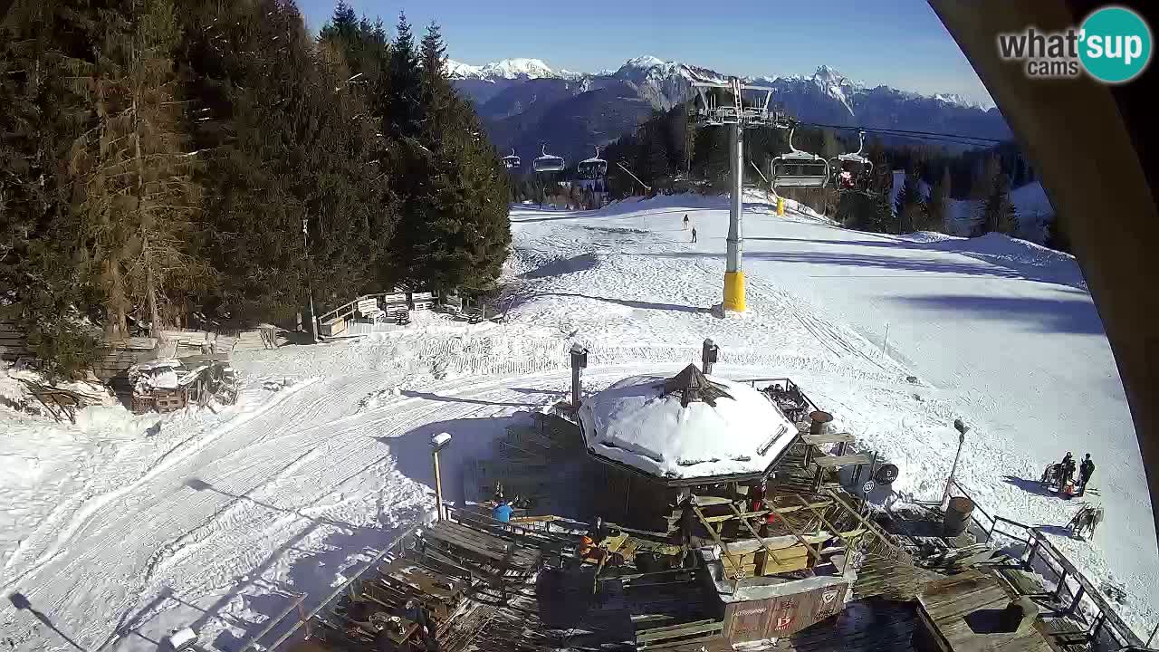 Skigebiet Zoncolan – Goles