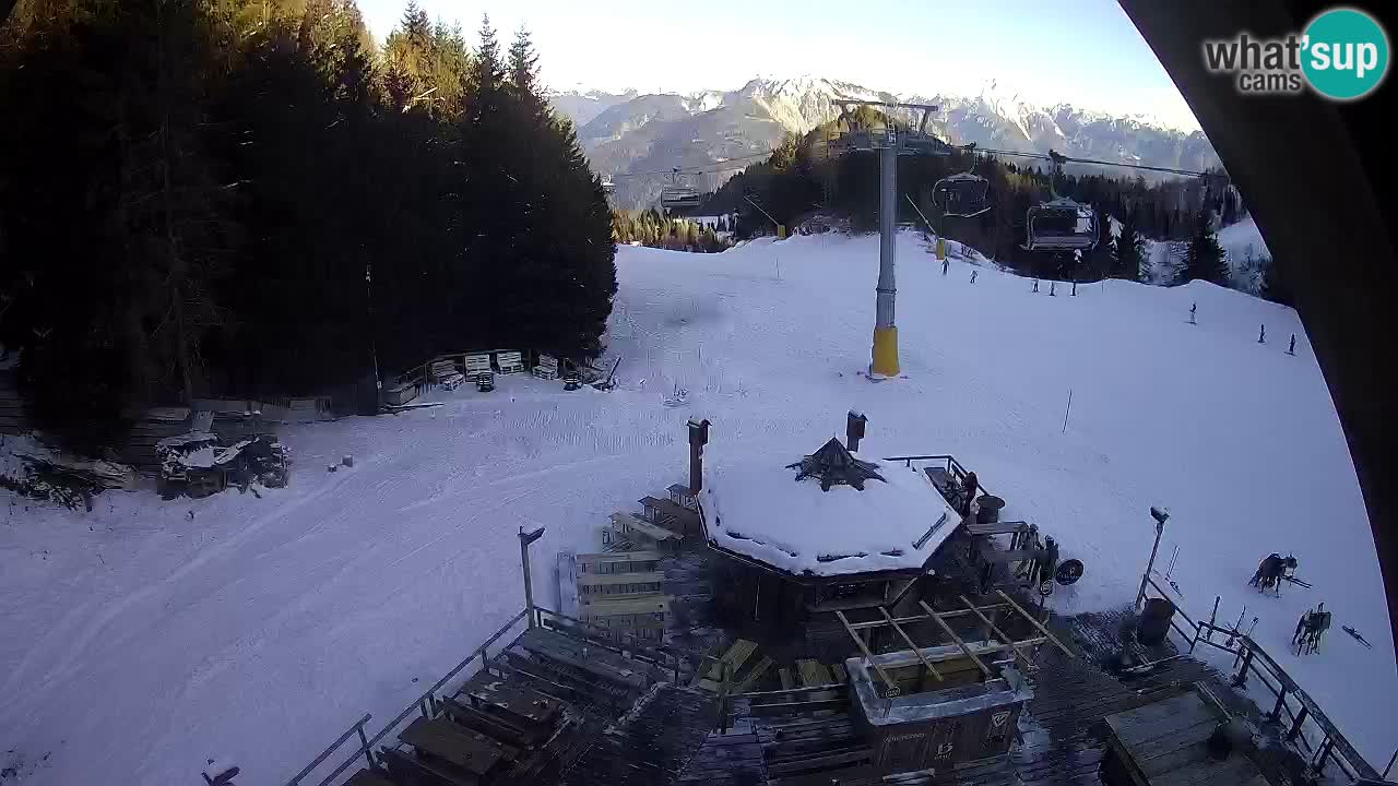 Ski resort Zoncolan mountain – Goles